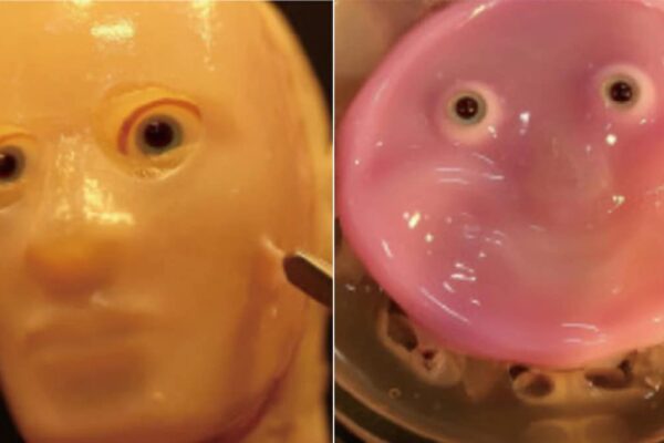 Scientists Create Smiling Robot Face Made Of Living Human Skin Cells