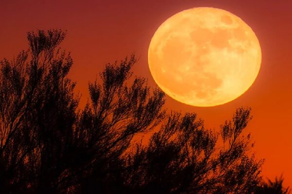 What Is A Worm Moon And Why It Marks The Start Of Spring Season